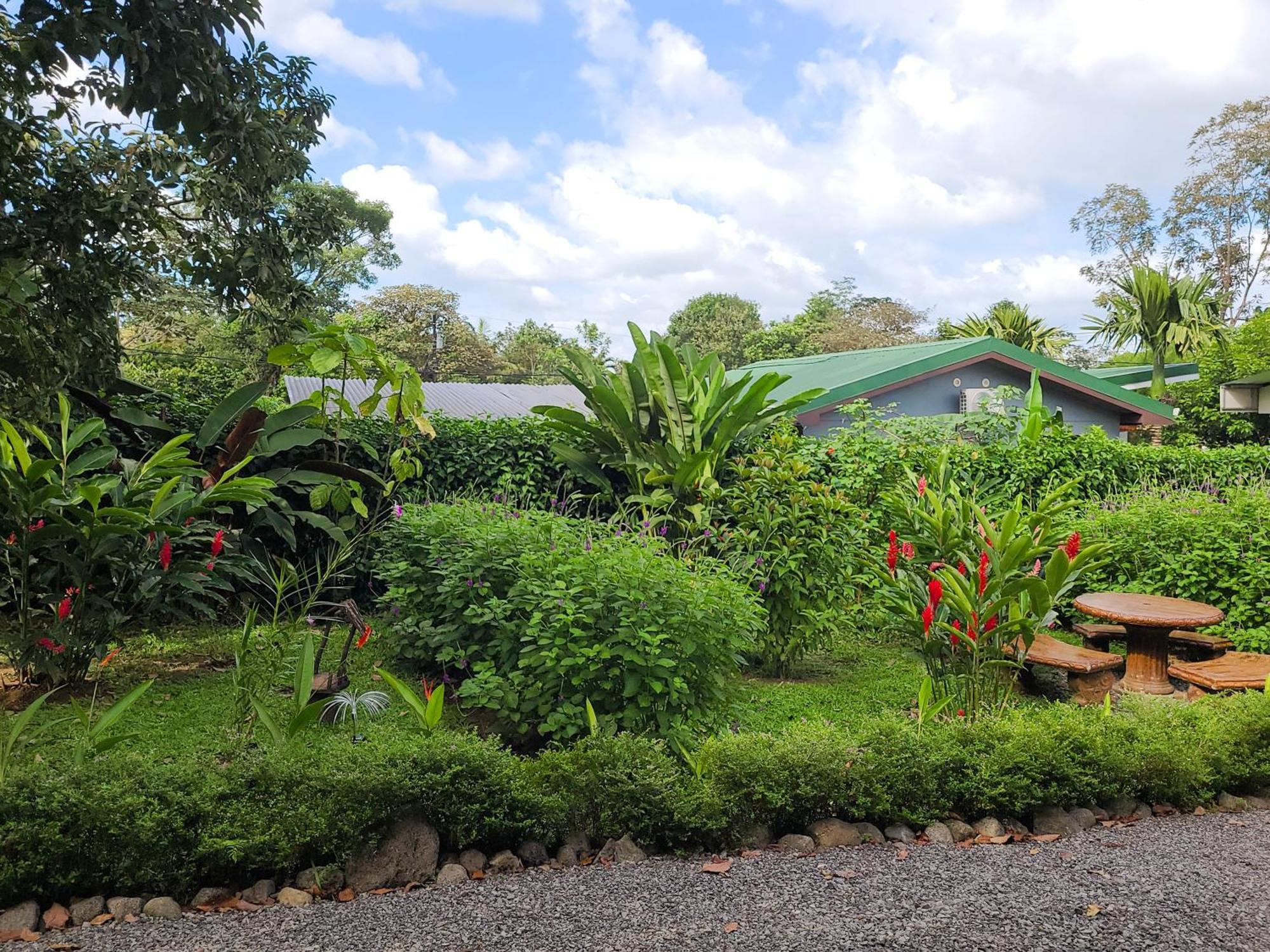 Arenal Sweet Cabins La Fortuna Exterior foto